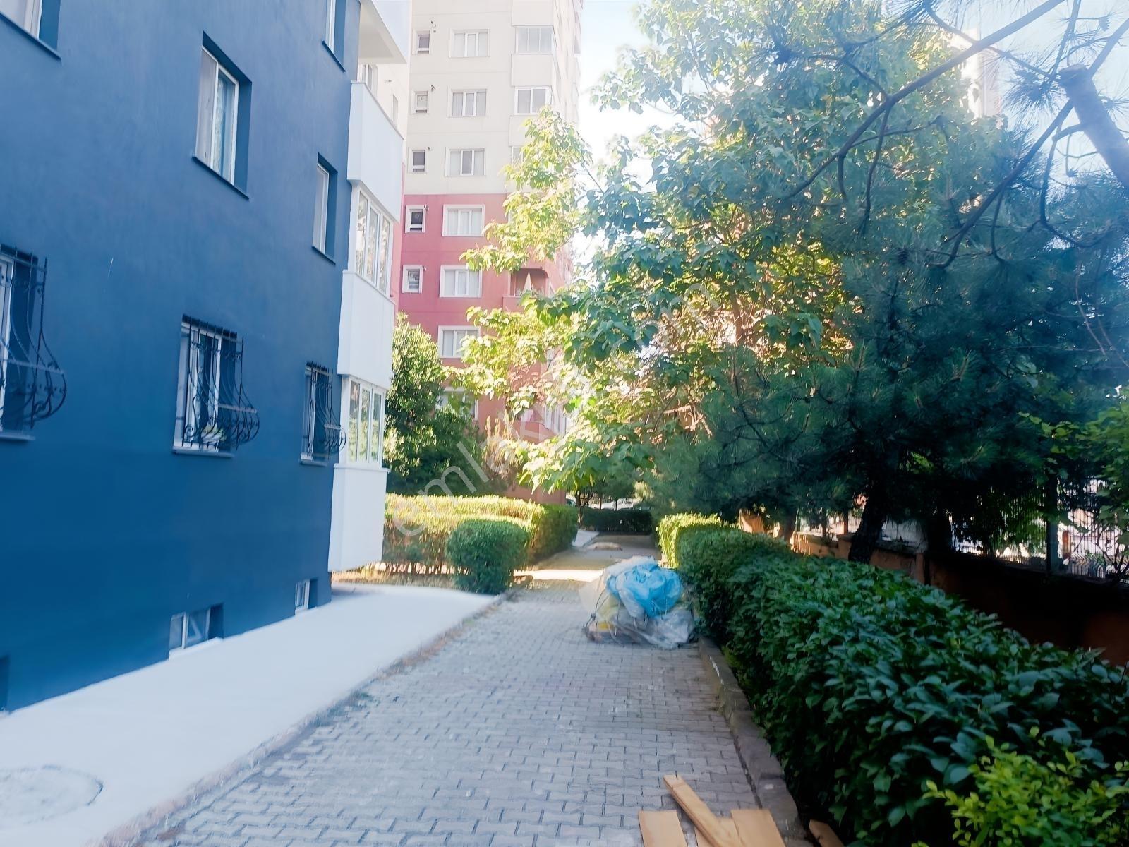 Ak Yaşam Evlerinde Satılık Tadilatlı 3+1 Daire.. — fotoğraf 5