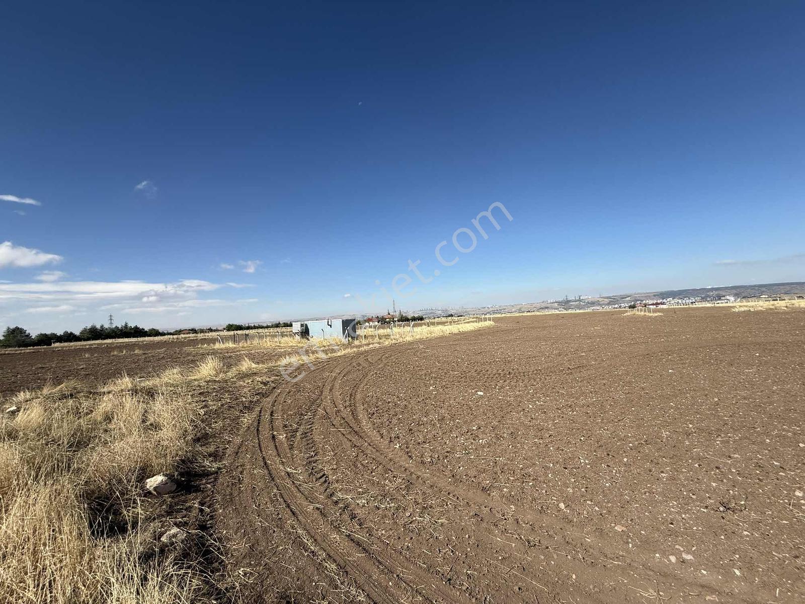 Gerderin Tek Hakimi Burakçı Fındıkçıdan Satılık Tarla 6648m2 — fotoğraf 2