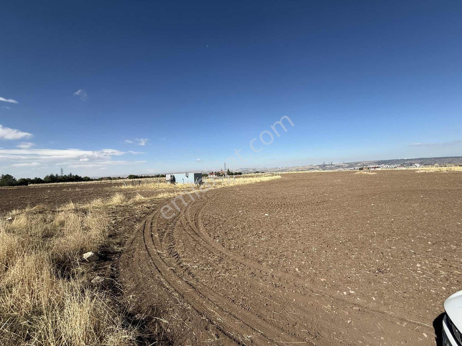 Gerderin Tek Hakimi Burakçı Fındıkçıdan Satılık Tarla 6648m2 — fotoğraf 3