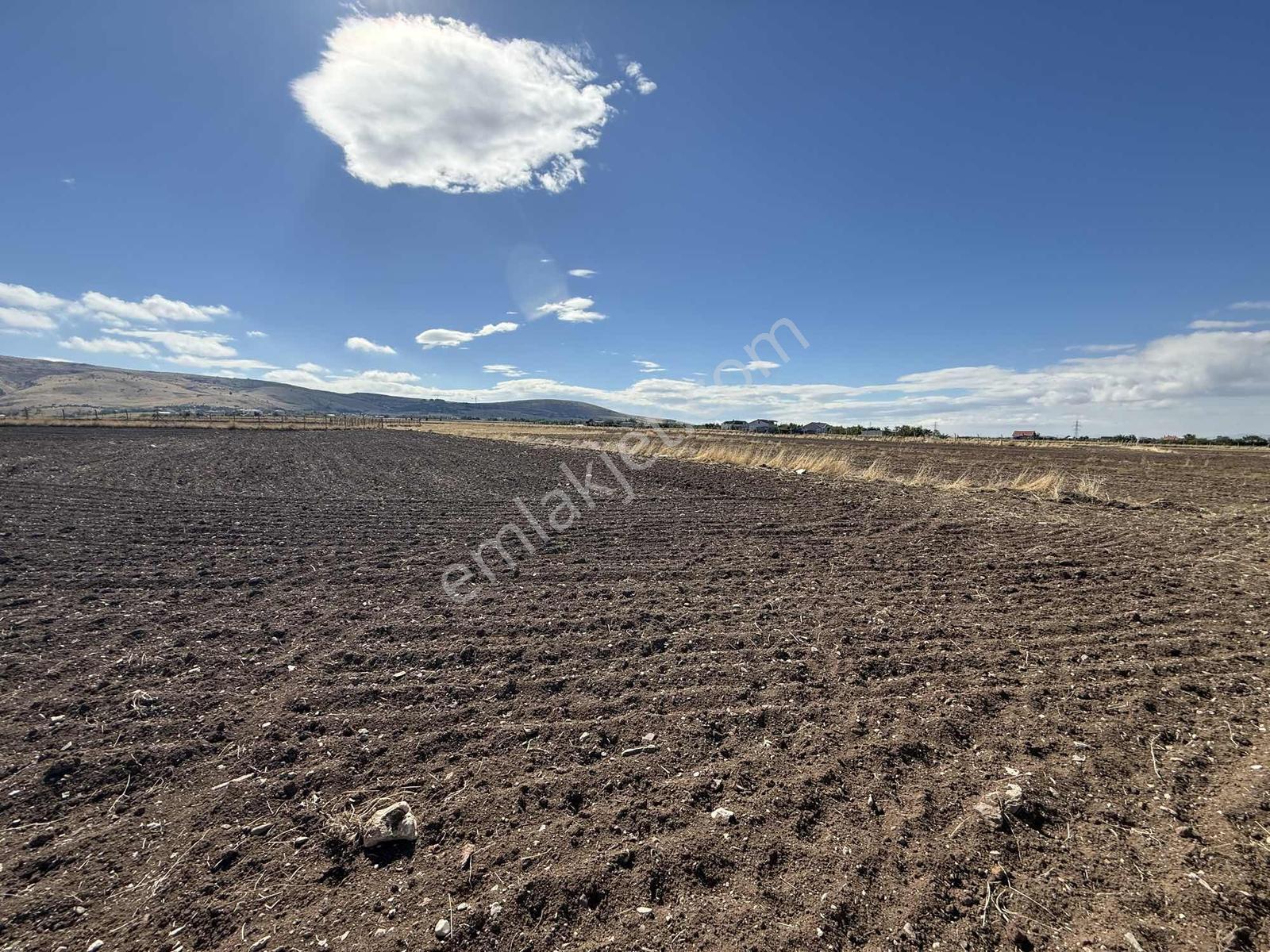 Gerderin Tek Hakimi Burakçı Fındıkçıdan Satılık Tarla 6648m2 — fotoğraf 9