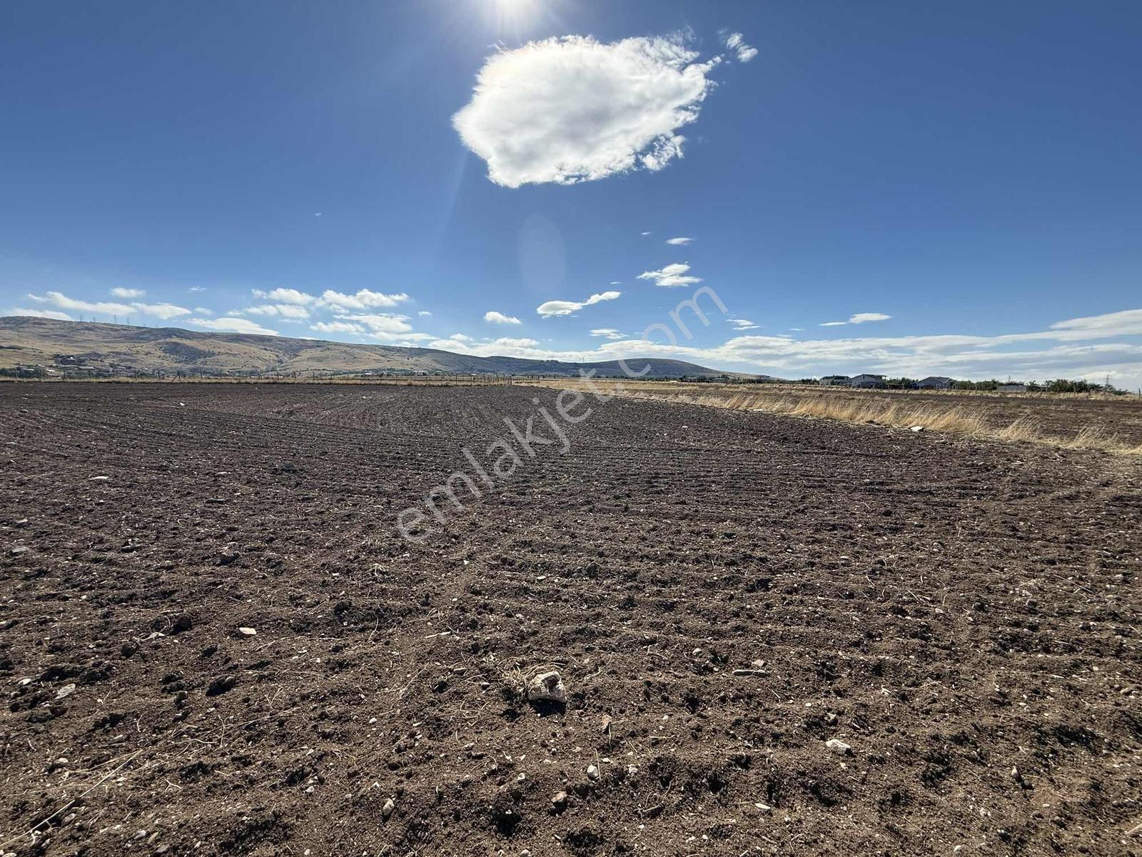 Gerderin Tek Hakimi Burakçı Fındıkçıdan Satılık Tarla 6648m2 — fotoğraf 10