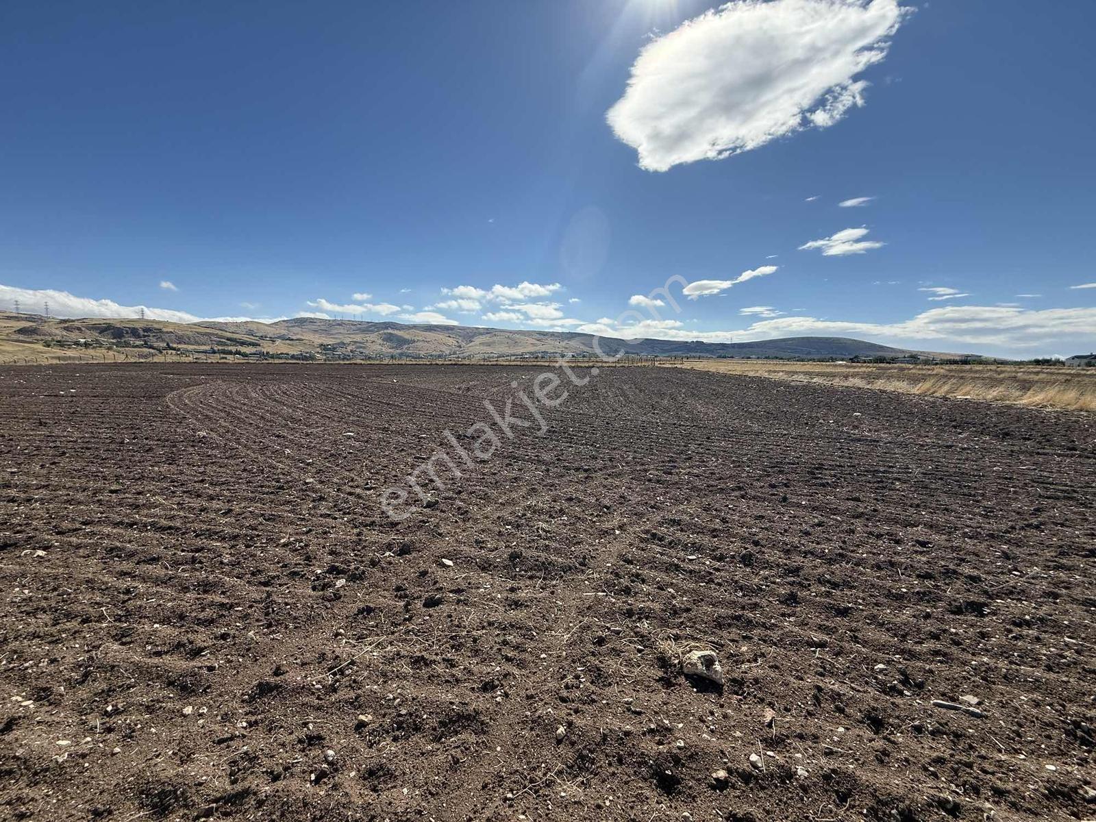 Gerderin Tek Hakimi Burakçı Fındıkçıdan Satılık Tarla 6648m2 — fotoğraf 11