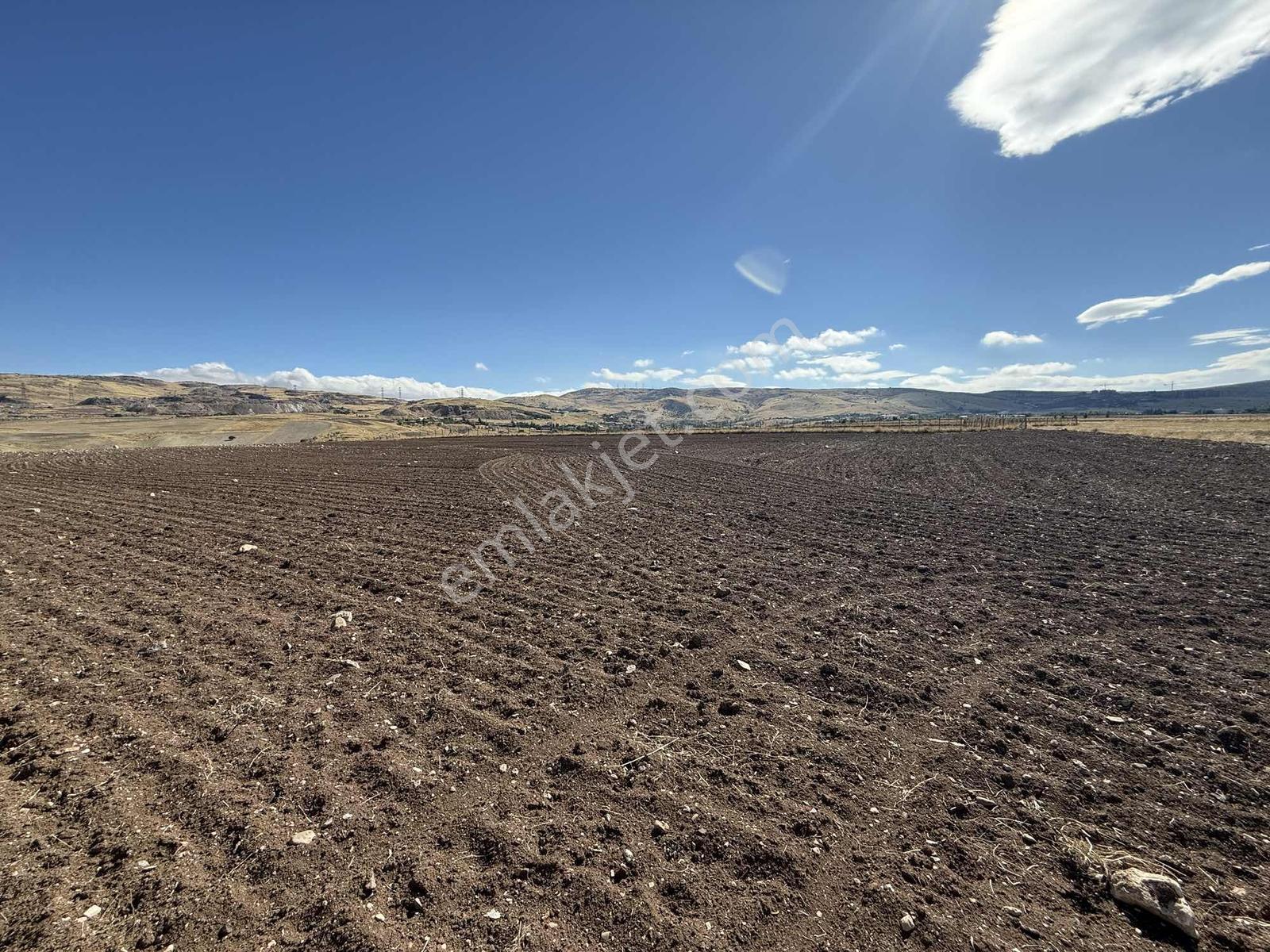 Gerderin Tek Hakimi Burakçı Fındıkçıdan Satılık Tarla 6648m2 — fotoğraf 12