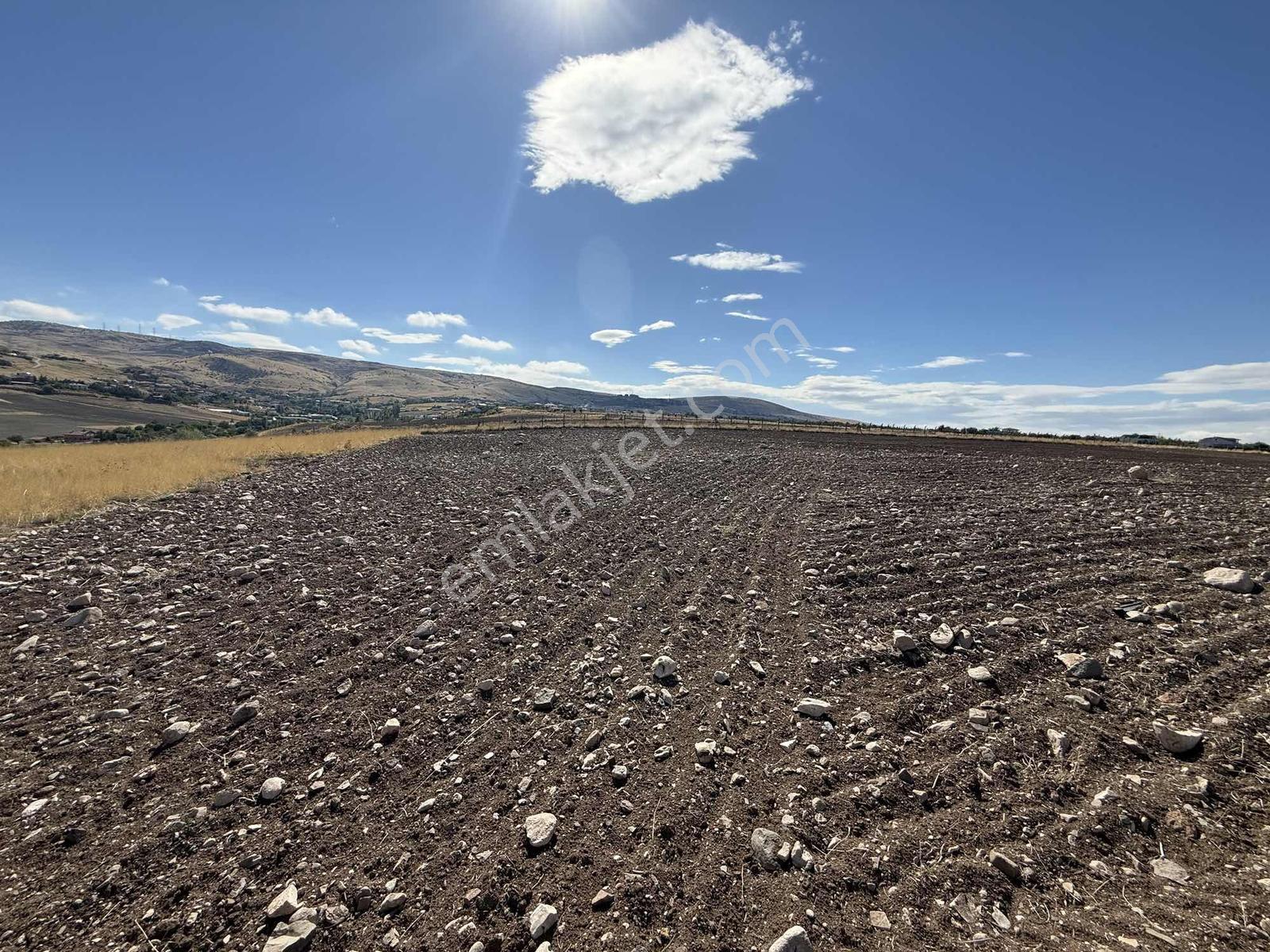 Gerderin Tek Hakimi Burakçı Fındıkçıdan Satılık Tarla 6648m2 — fotoğraf 13