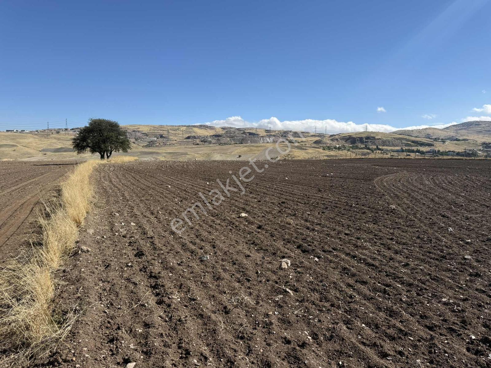 Gerderin Tek Hakimi Burakçı Fındıkçıdan Satılık Tarla 6648m2 — fotoğraf 14