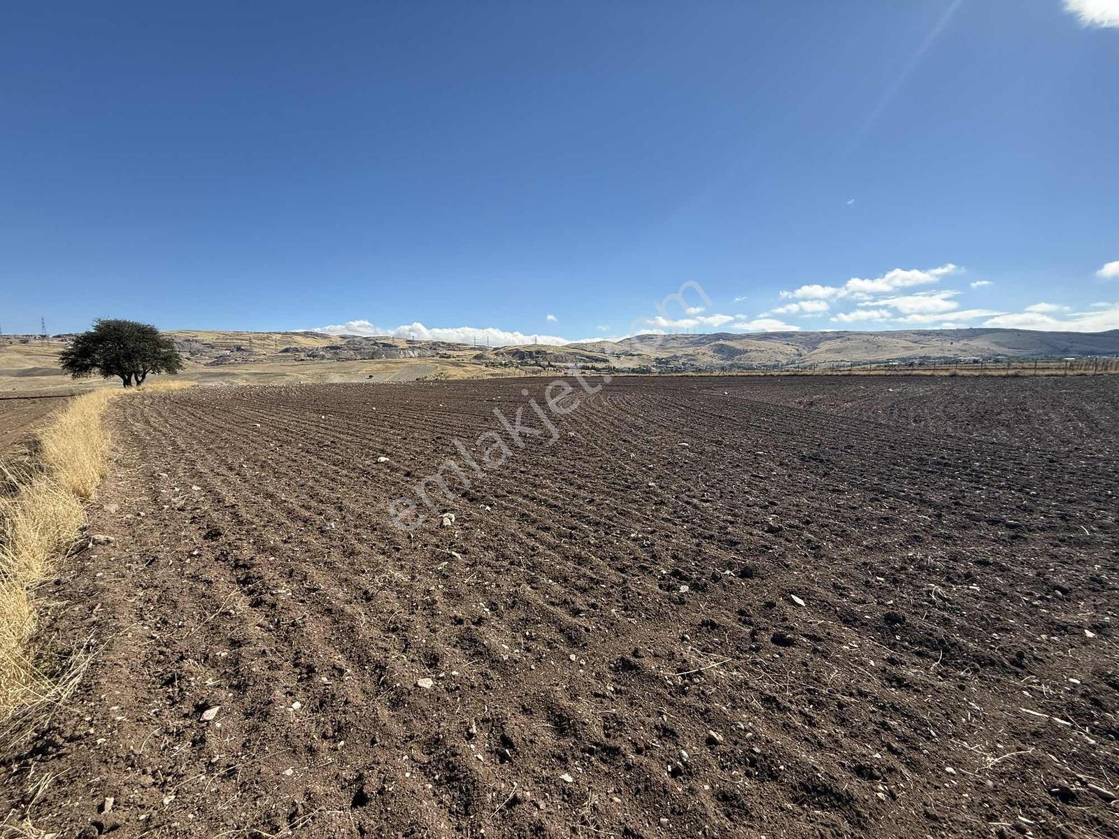 Gerderin Tek Hakimi Burakçı Fındıkçıdan Satılık Tarla 6648m2 — fotoğraf 16