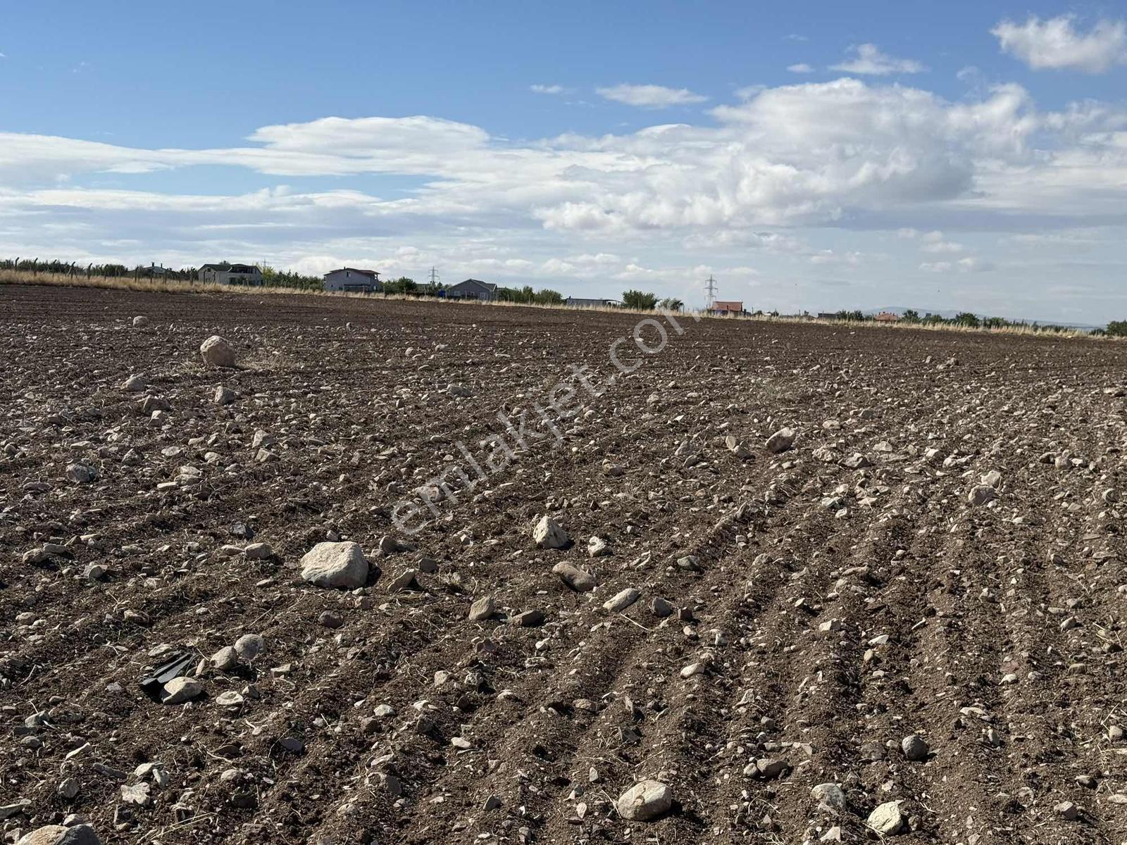 Gerderin Tek Hakimi Burakçı Fındıkçıdan Satılık Tarla 6648m2 — fotoğraf 19