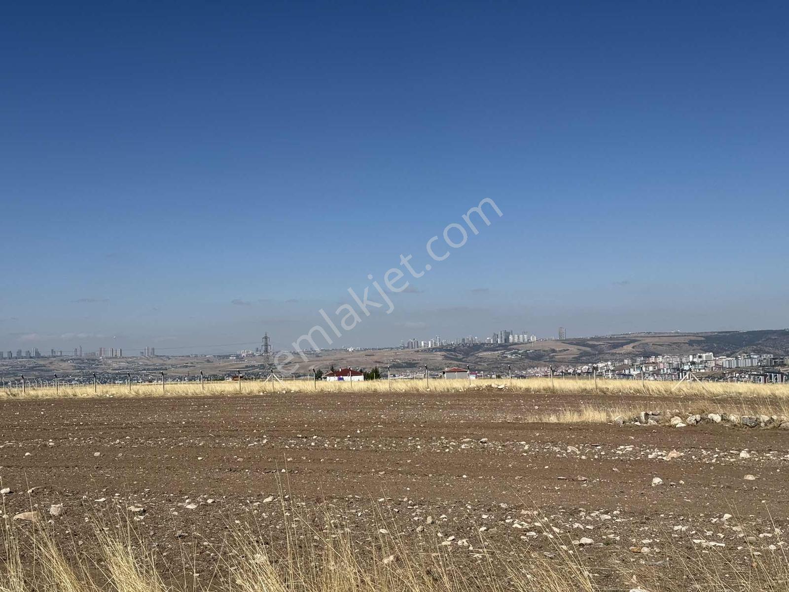 Gerderin Tek Hakimi Burakçı Fındıkçıdan Satılık Tarla 6648m2 — fotoğraf 20