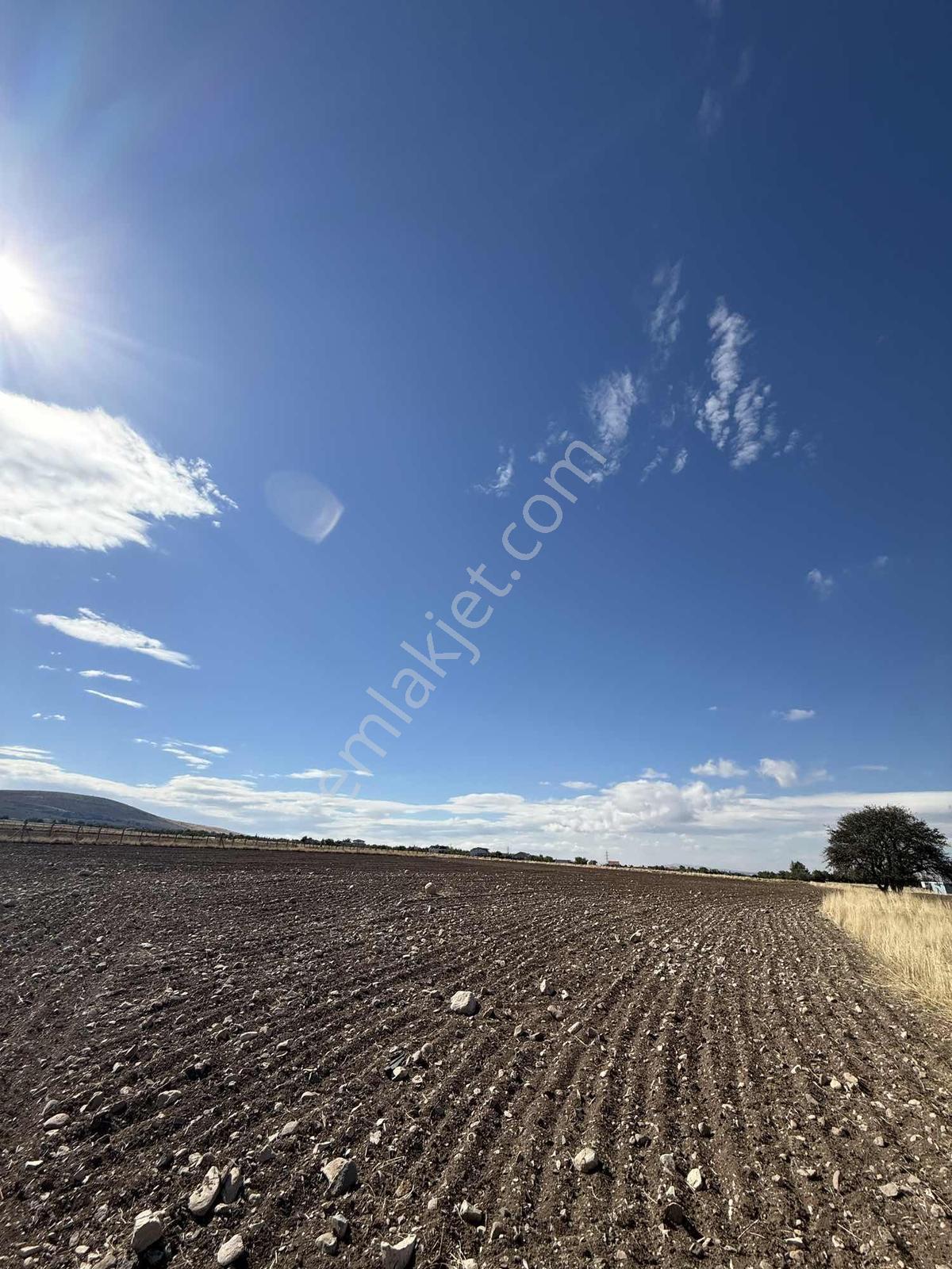 Gerderin Tek Hakimi Burakçı Fındıkçıdan Satılık Tarla 6648m2 — fotoğraf 22