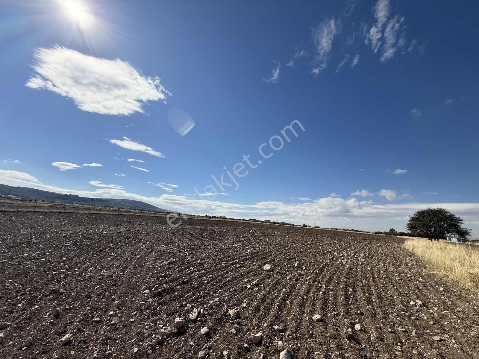 Gerderin Tek Hakimi Burakçı Fındıkçıdan Satılık Tarla 6648m2 — fotoğraf 25