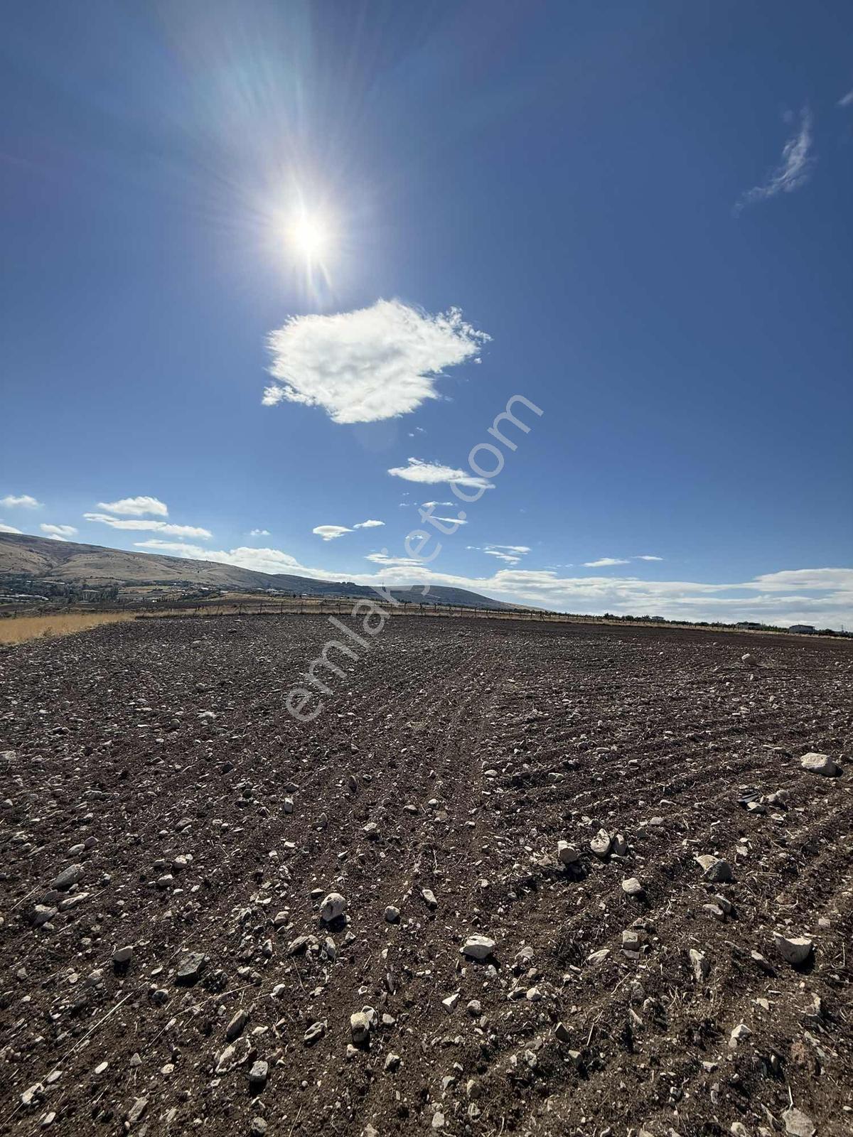 Gerderin Tek Hakimi Burakçı Fındıkçıdan Satılık Tarla 6648m2 — fotoğraf 28