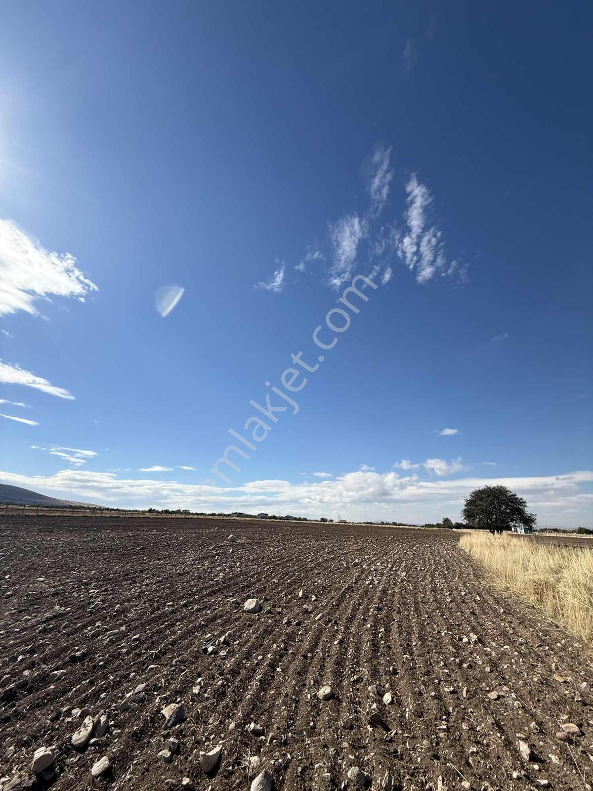 Gerderin Tek Hakimi Burakçı Fındıkçıdan Satılık Tarla 6648m2 — fotoğraf 31