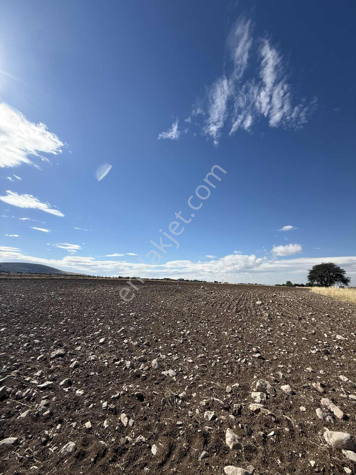 Gerderin Tek Hakimi Burakçı Fındıkçıdan Satılık Tarla 6648m2 — fotoğraf 37