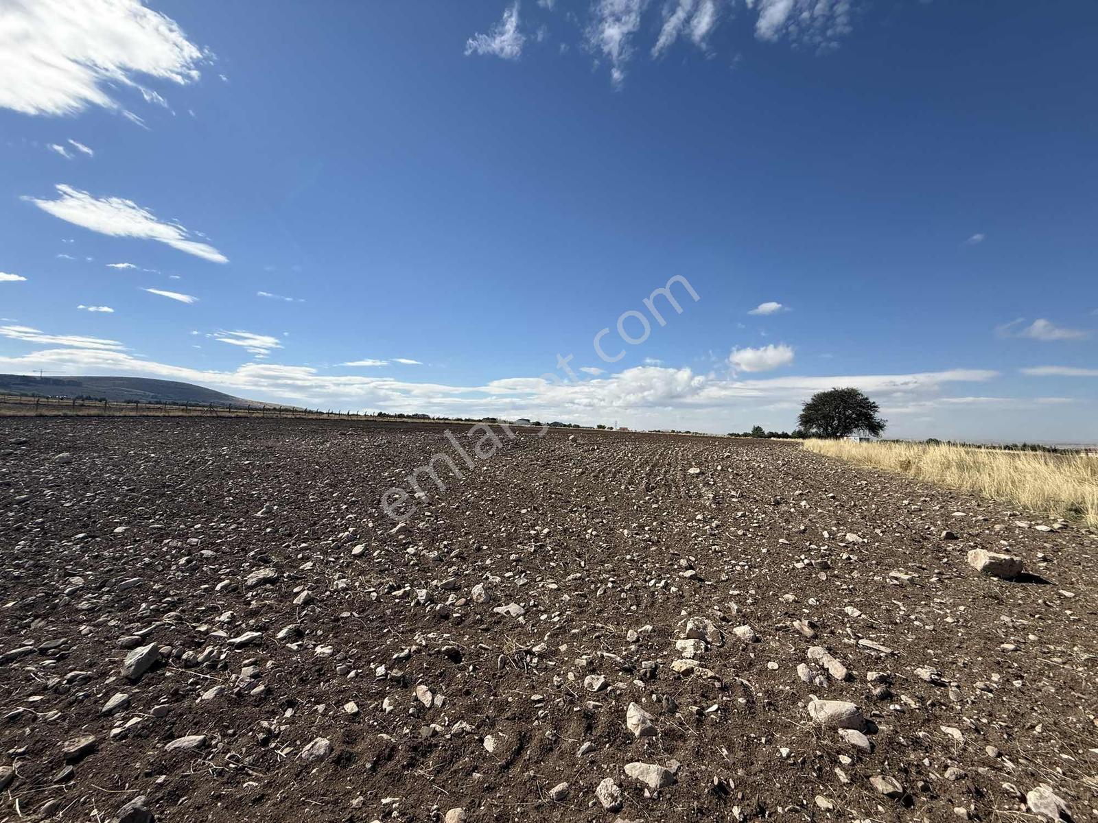 Gerderin Tek Hakimi Burakçı Fındıkçıdan Satılık Tarla 6648m2 — fotoğraf 39