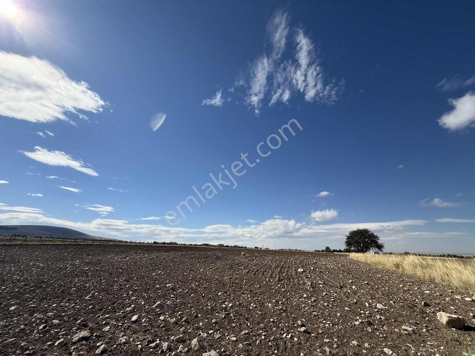 Gerderin Tek Hakimi Burakçı Fındıkçıdan Satılık Tarla 6648m2 — fotoğraf 41