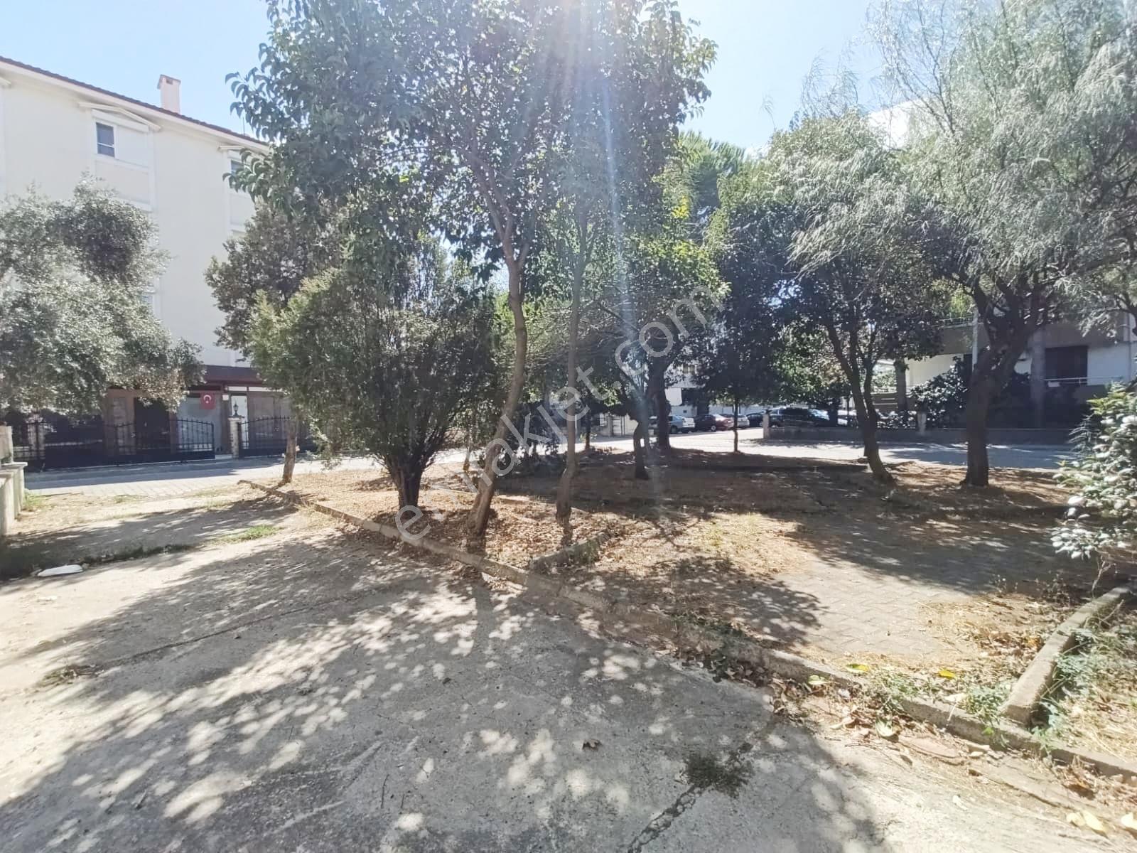 ▀güç'ten Altınkumda Ayrı Mutfak Geniş Balkonlu Kelepir 2+1 Daire — fotoğraf 7