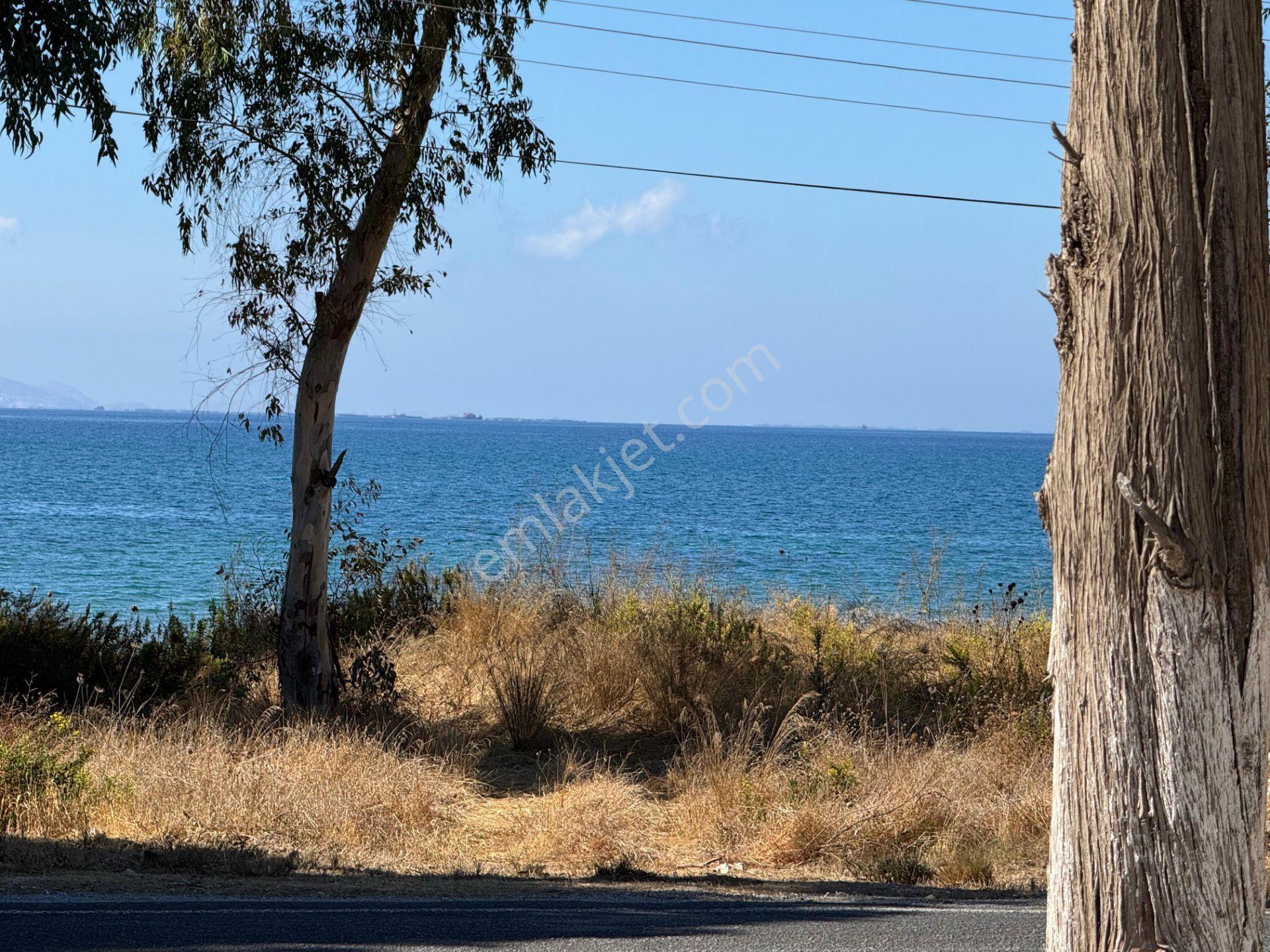 Deniz İle Arasında Sadece Yol Var Full Deniz Manzarali — fotoğraf 3