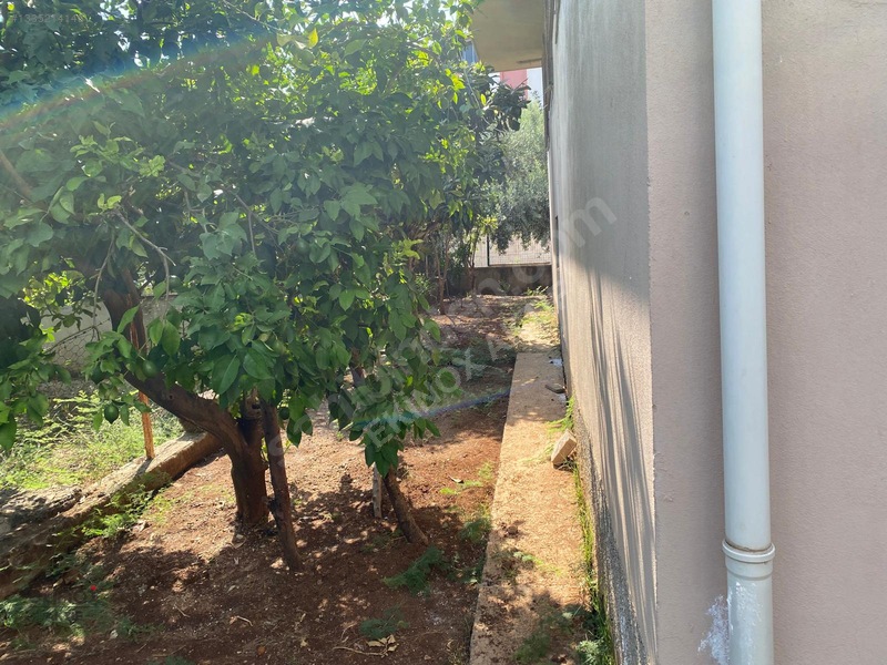 Kurttepede Kiralık Geniş 3+1 Zemin Kat Bahçeli Müstakil Ev