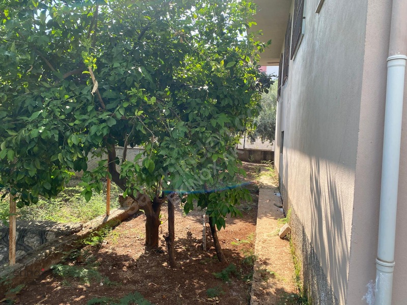 Kurttepede Kiralık Geniş 3+1 Zemin Kat Bahçeli Müstakil Ev — fotoğraf 2