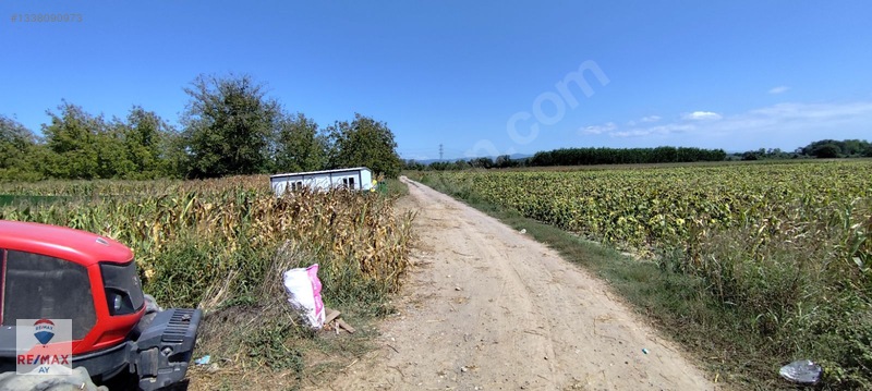 Tabela Değeri Yüksek Otoyol Üzeri Kiralık Arazi — fotoğraf 10