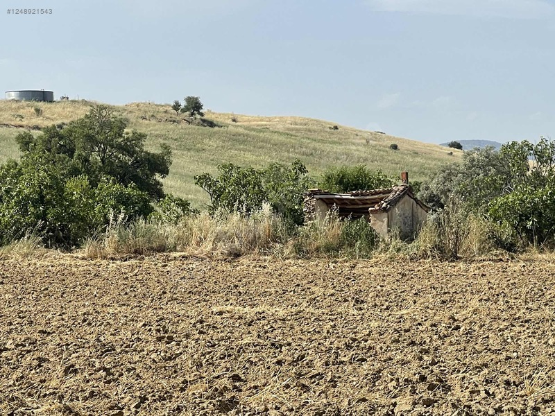 Dizayn Gayrimenkulden Kazantepe Mevkii Asfalta Cepheli Tarla — fotoğraf 2