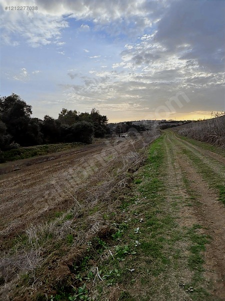 Kadıköyde Resmi Yola Cepe 1.288m2 Mantıklı Araç Takası Olur — fotoğraf 2