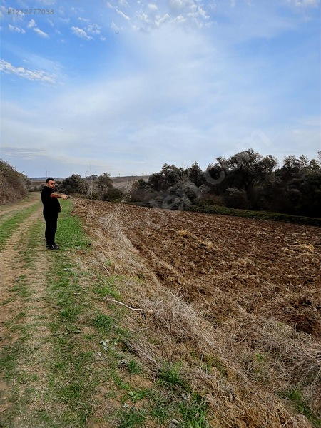 Kadıköyde Resmi Yola Cepe 1.288m2 Mantıklı Araç Takası Olur — fotoğraf 3