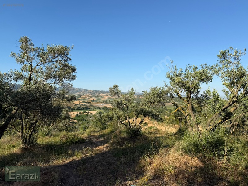 Toprakocak'ta Yola Cephe Tek Tapu Bahçe — fotoğraf 3