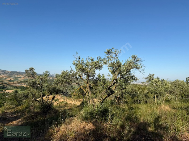 Toprakocak'ta Yola Cephe Tek Tapu Bahçe — fotoğraf 6
