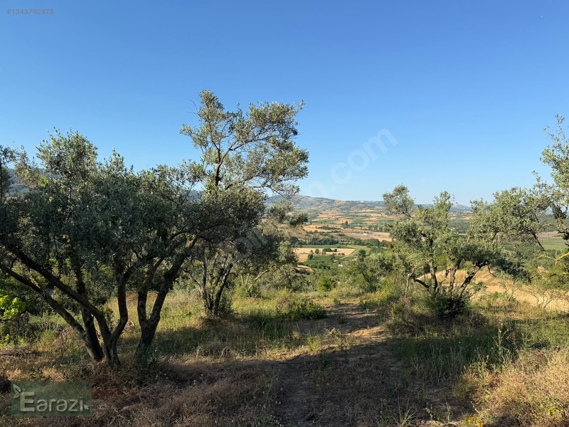Toprakocak'ta Yola Cephe Tek Tapu Bahçe — fotoğraf 8