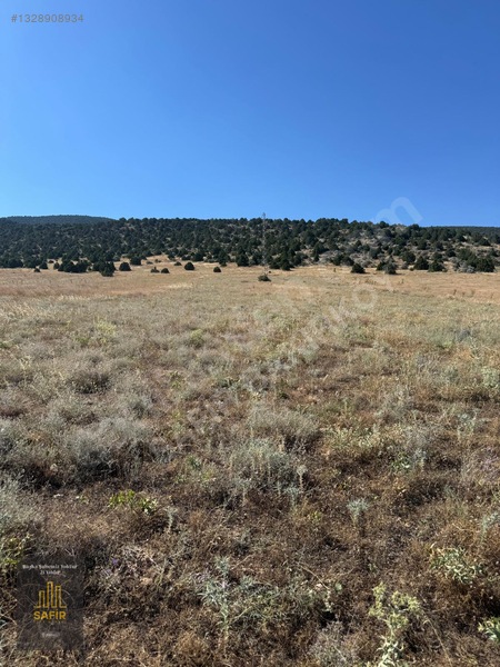 Gencali'de Göl Manzaralı 8240 M² Satılık Arazi — fotoğraf 6