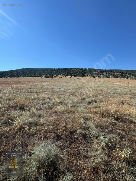 Gencali'de Göl Manzaralı 8240 M² Satılık Arazi — fotoğraf 8