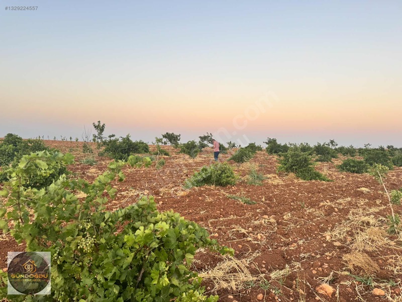 Gündoğdu'dan Oguzeli Karaburun'da Yatırımlık Arazi — fotoğraf 13