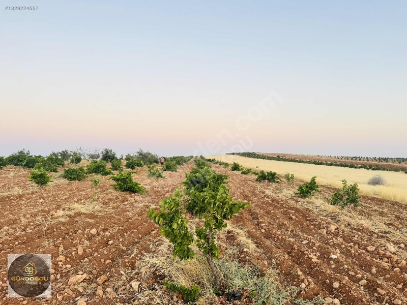 Gündoğdu'dan Oguzeli Karaburun'da Yatırımlık Arazi — fotoğraf 17