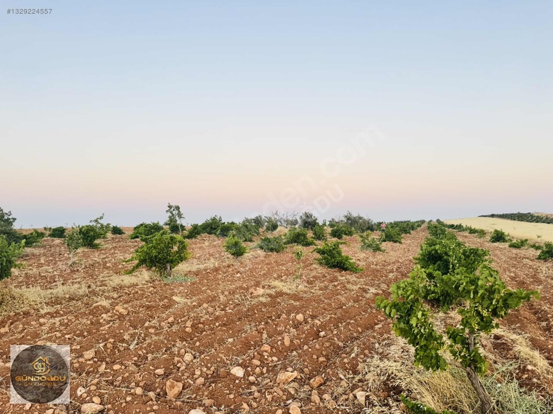 Gündoğdu'dan Oguzeli Karaburun'da Yatırımlık Arazi — fotoğraf 18