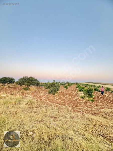 Gündoğdu'dan Oguzeli Karaburun'da Yatırımlık Arazi — fotoğraf 22