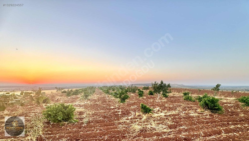 Gündoğdu'dan Oguzeli Karaburun'da Yatırımlık Arazi — fotoğraf 26