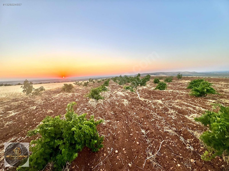 Gündoğdu'dan Oguzeli Karaburun'da Yatırımlık Arazi — fotoğraf 28