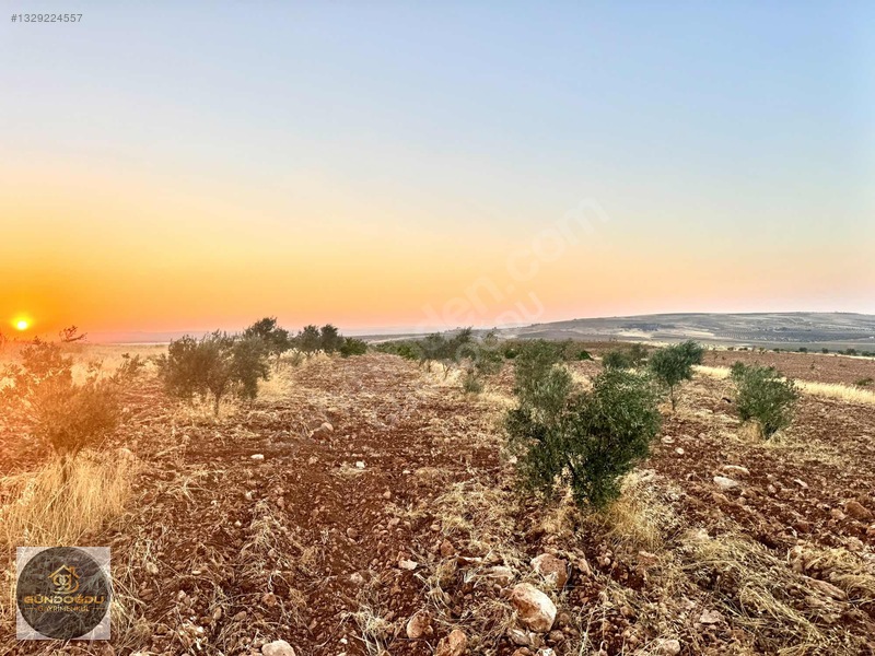 Gündoğdu'dan Oguzeli Karaburun'da Yatırımlık Arazi — fotoğraf 31