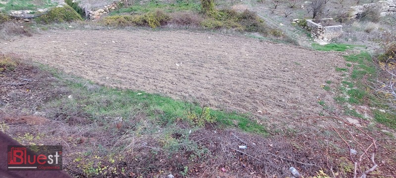 Erdemli İlemin'de 2+1 Yayla Evi + 4 Adet Tarla Toplam :6.279m2 — fotoğraf 4