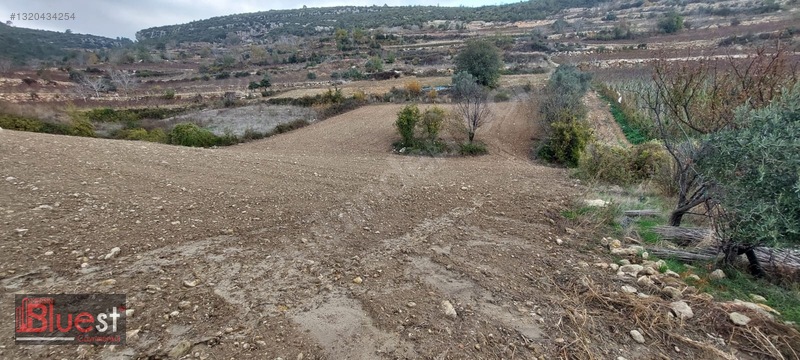 Erdemli İlemin'de 2+1 Yayla Evi + 4 Adet Tarla Toplam :6.279m2 — fotoğraf 8