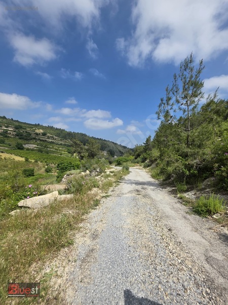 Erdemli İlemin'de 2+1 Yayla Evi + 4 Adet Tarla Toplam :6.279m2 — fotoğraf 11