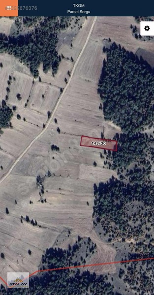 Kütahya Altıntaş Işıklarda Fırsat Satılık Tarla — fotoğraf 2