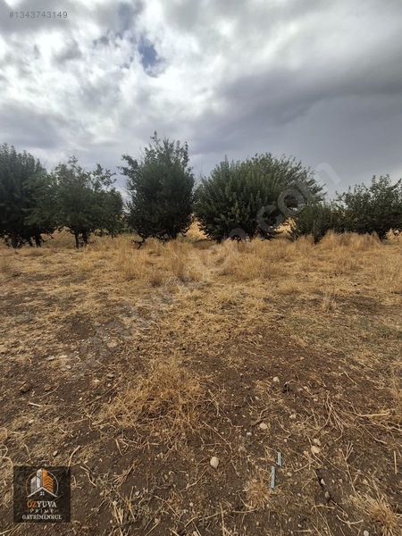 Özyuva Gayrimenkül'den Hasankendi Köyünde Satılık Tarla — fotoğraf 12
