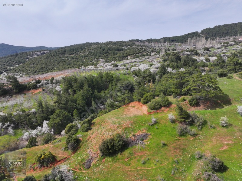 Kısa Süreliğine Emsalsiz Fiyata Arsa — fotoğraf 3