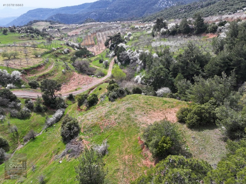 Kısa Süreliğine Emsalsiz Fiyata Arsa — fotoğraf 5