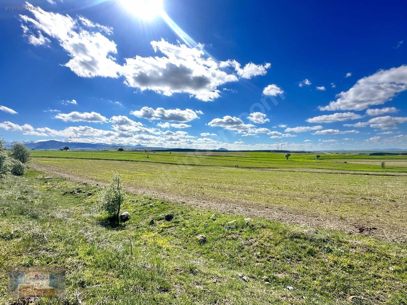 Ardıç Mahallesinde Kaçmaz Tarla — fotoğraf 4