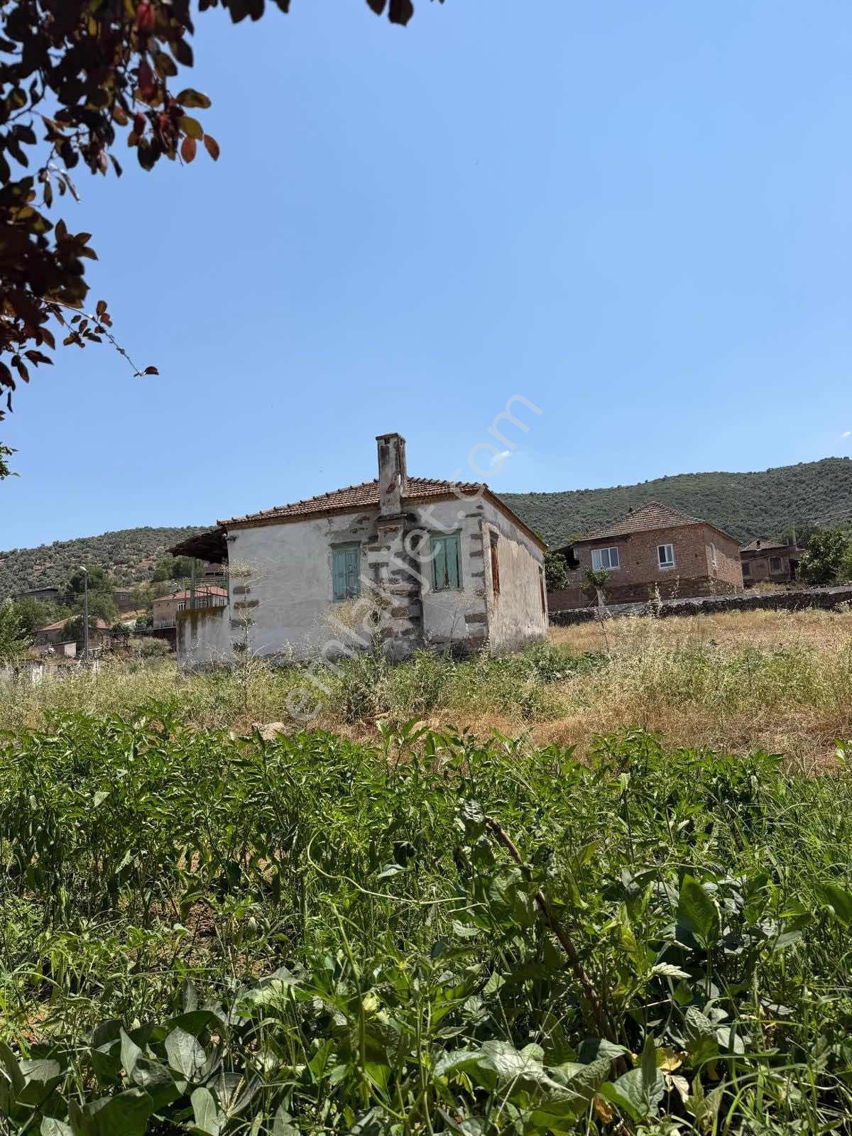 Aydın Çinede Satılık Çiftlik Köy Evi