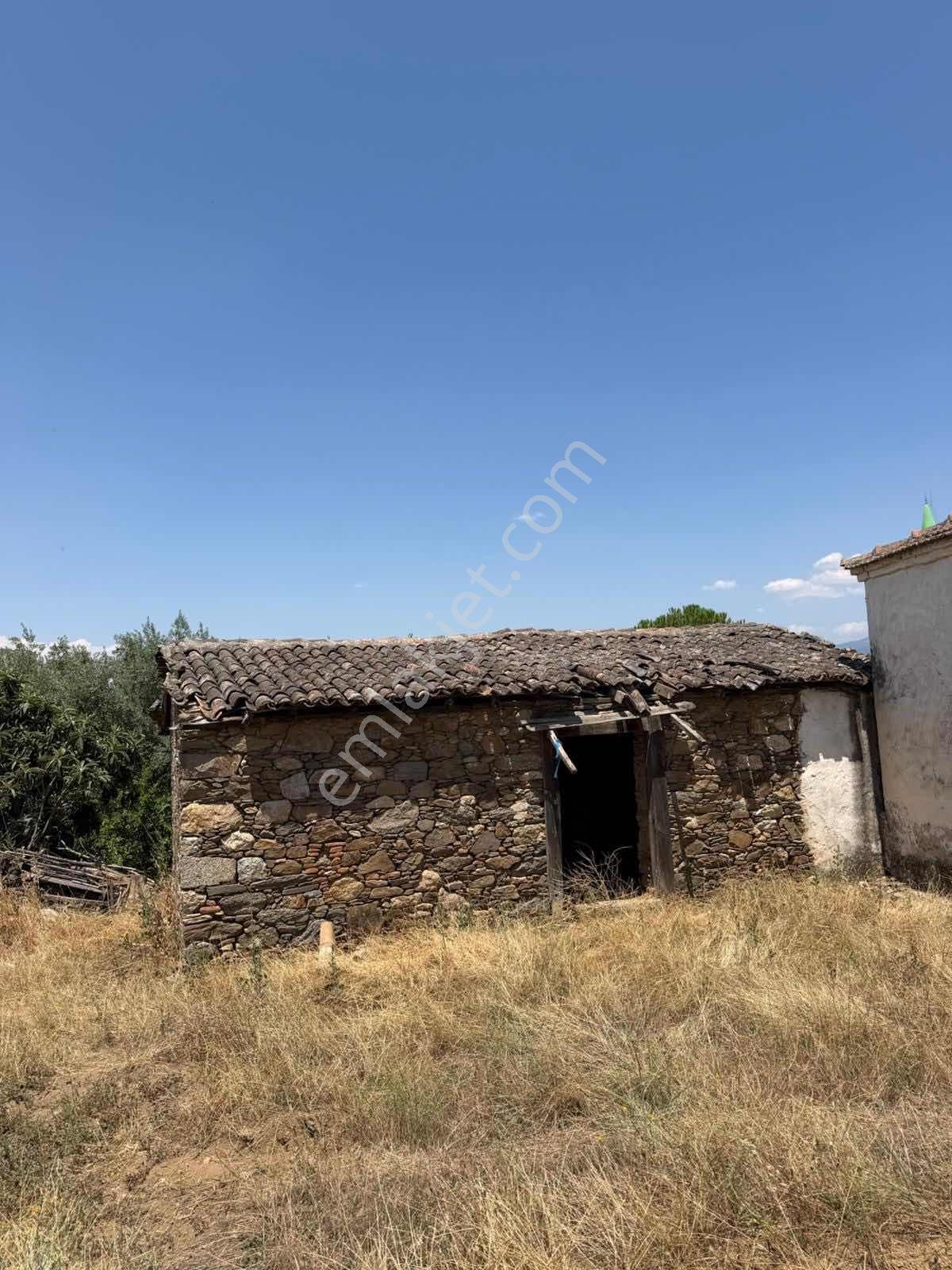 Aydın Çinede Satılık Çiftlik Köy Evi — fotoğraf 6