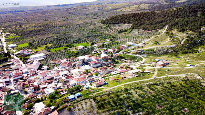 Manisa Akhisar Tütenli Satılık İmarlı Arsa — fotoğraf 16